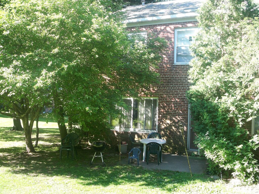 Brick vs Concrete Pavers for a Backyard Patio