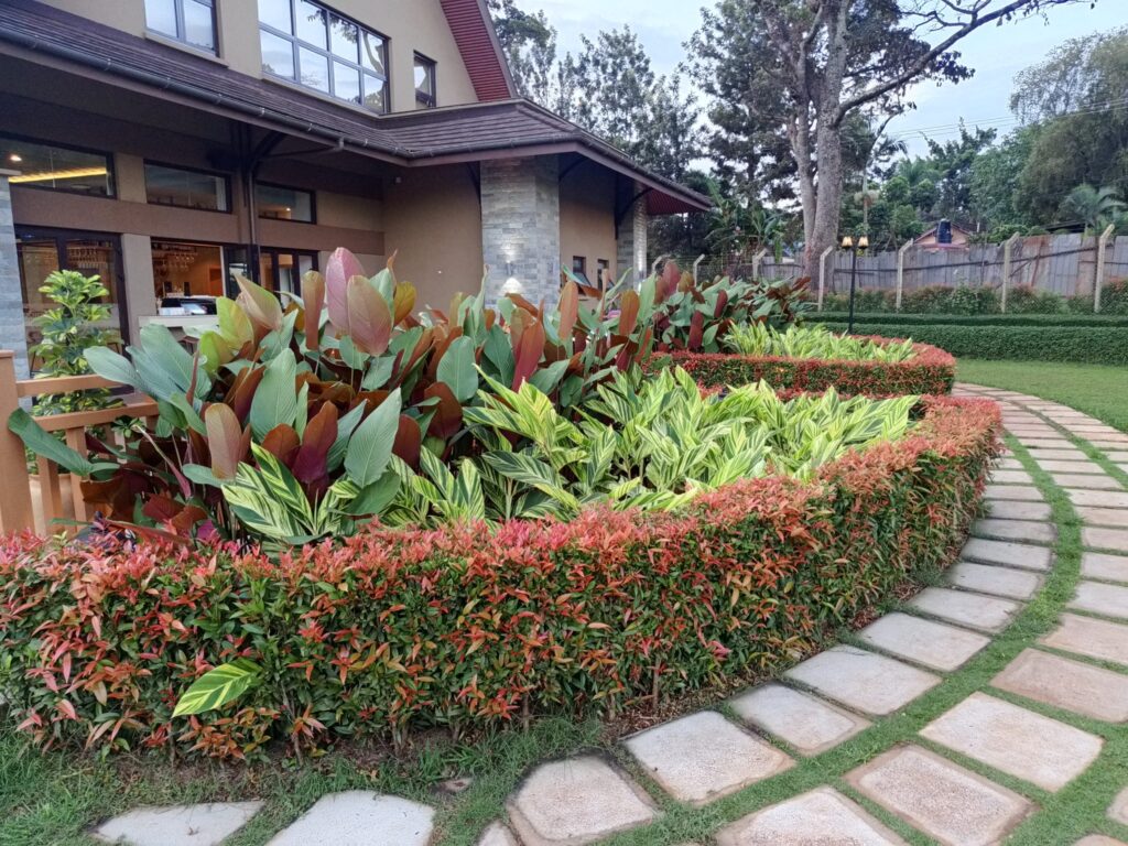 Designing an Outdoor Living Space in Central Texas